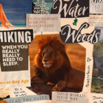 How to Create a Vision Board for Financial Success