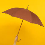 Weatherproof Your Retirement: Strengthening Risk Capacity for Lasting Security